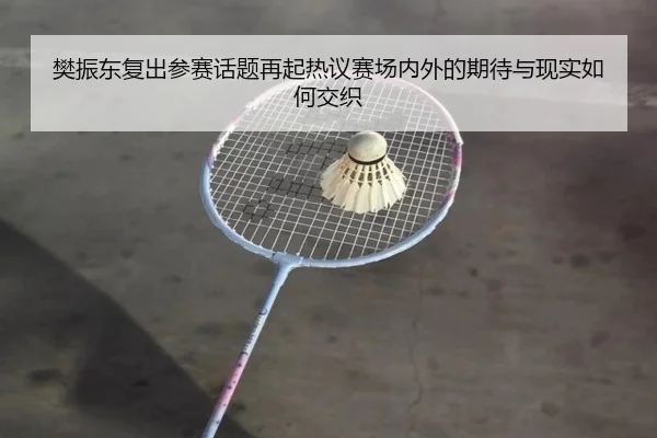 樊振东复出参赛话题再起热议赛场内外的期待与现实如何交织